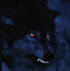 Avatar du membre