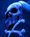 Avatar du membre