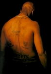 Avatar du membre